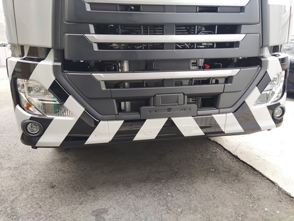 施工事例（トラ柄）